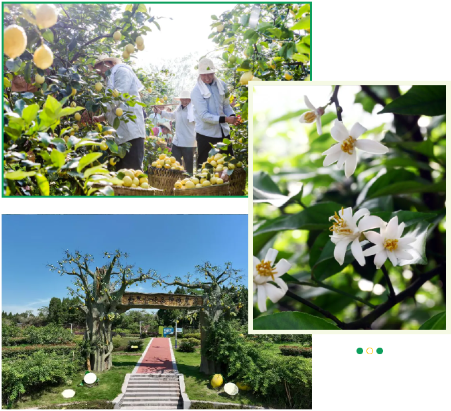 1752656176381752nuuC.png 2-18.png