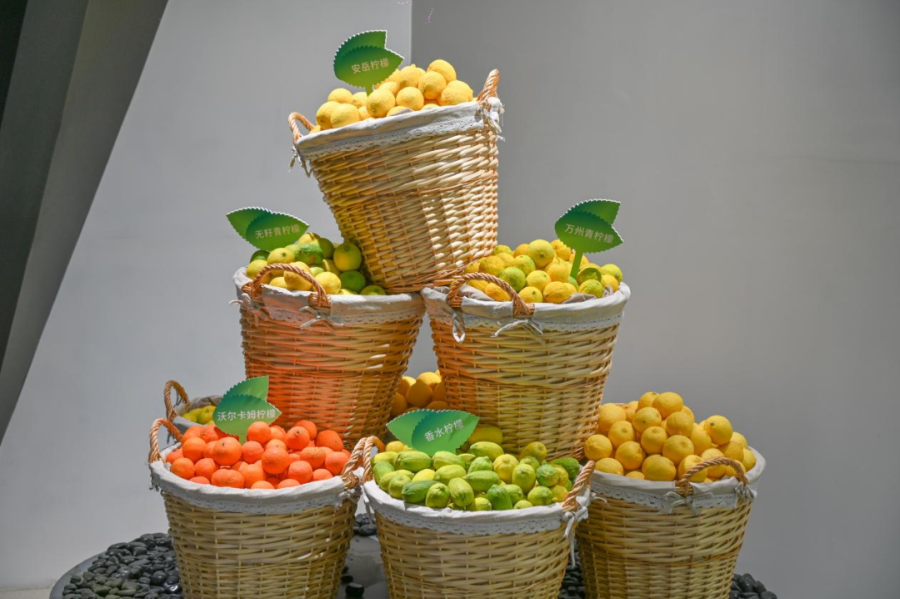 1752656196881428I5tB.png 2-19.png