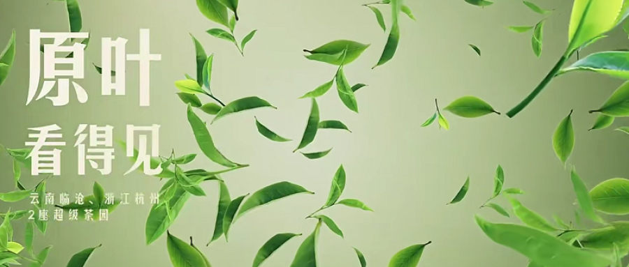 1760170715117777pWFQ.png 05.png